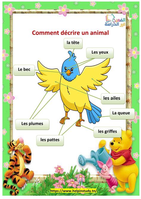 décrire un animal